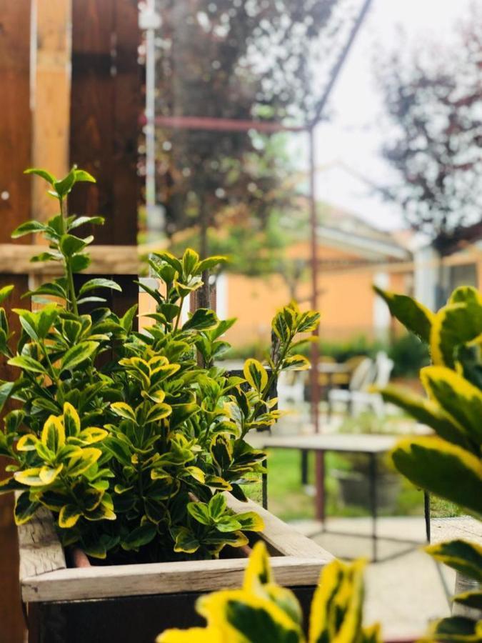 Dolce Nera Bed and breakfast